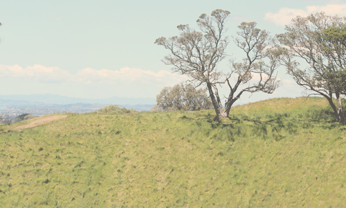 Mount Eden