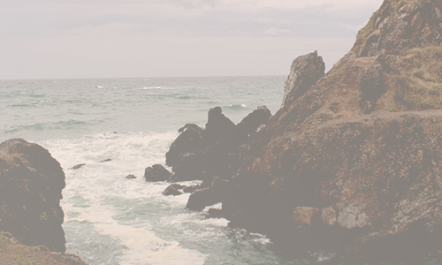 Wellsford Beach